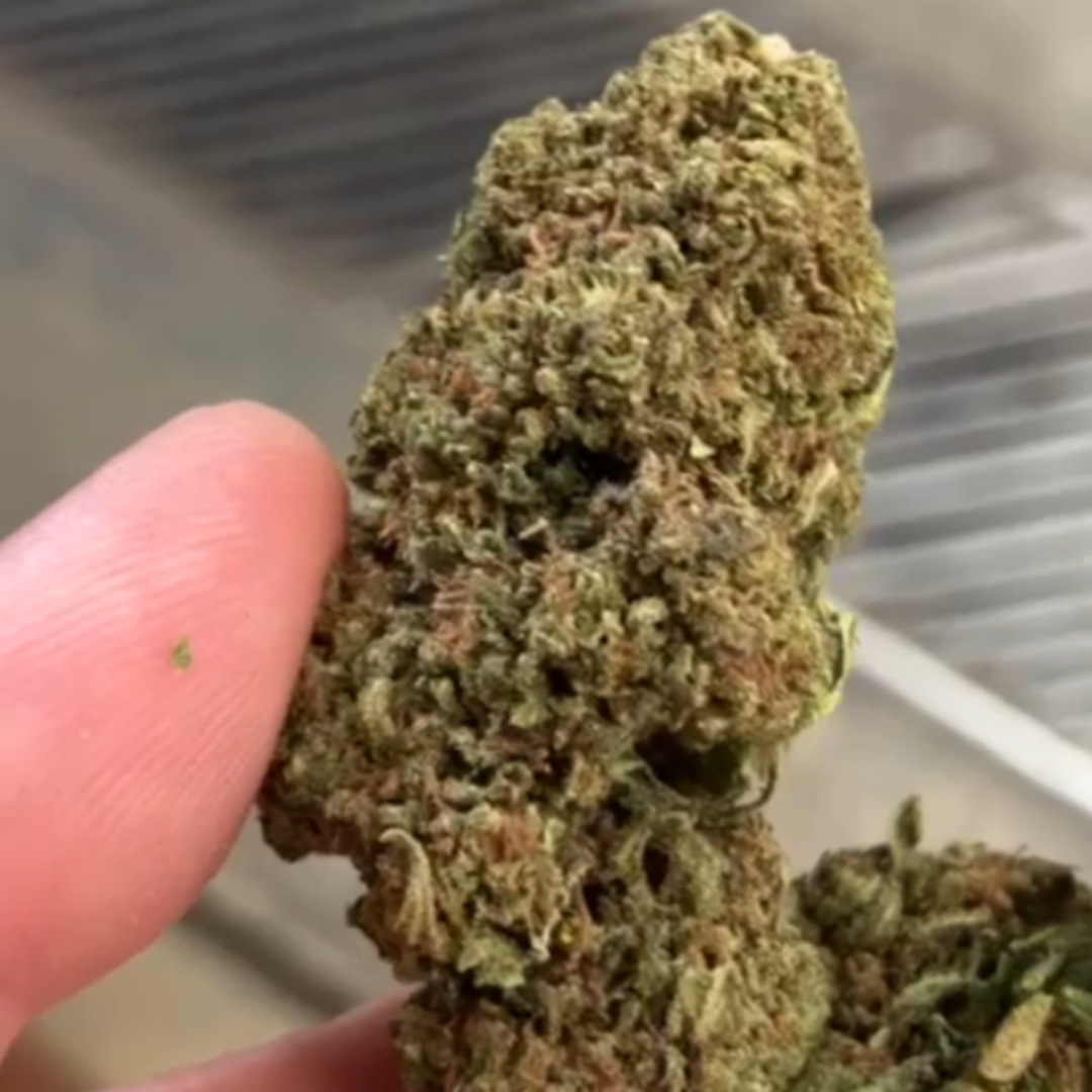 Blueberry CBD Flower