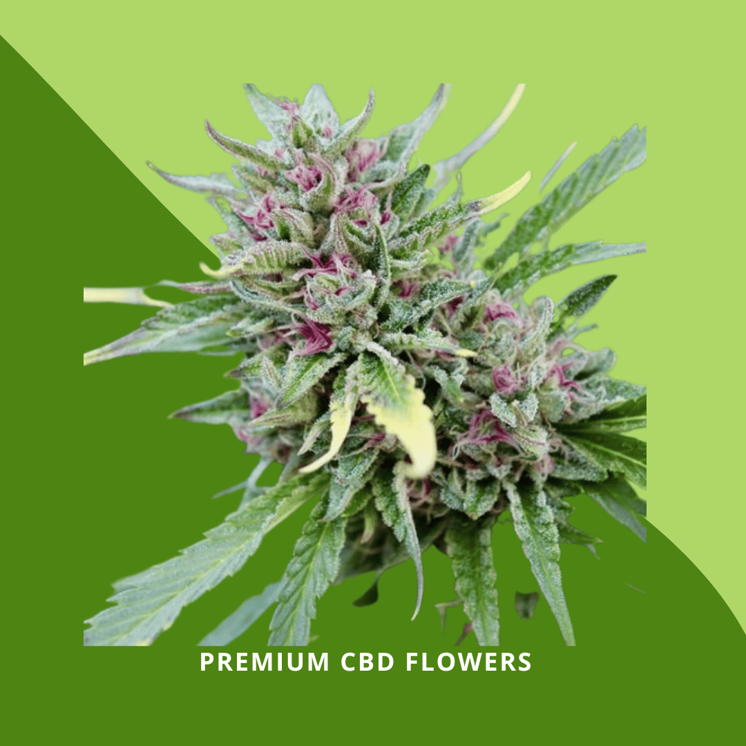 CBD HEMP Flower
