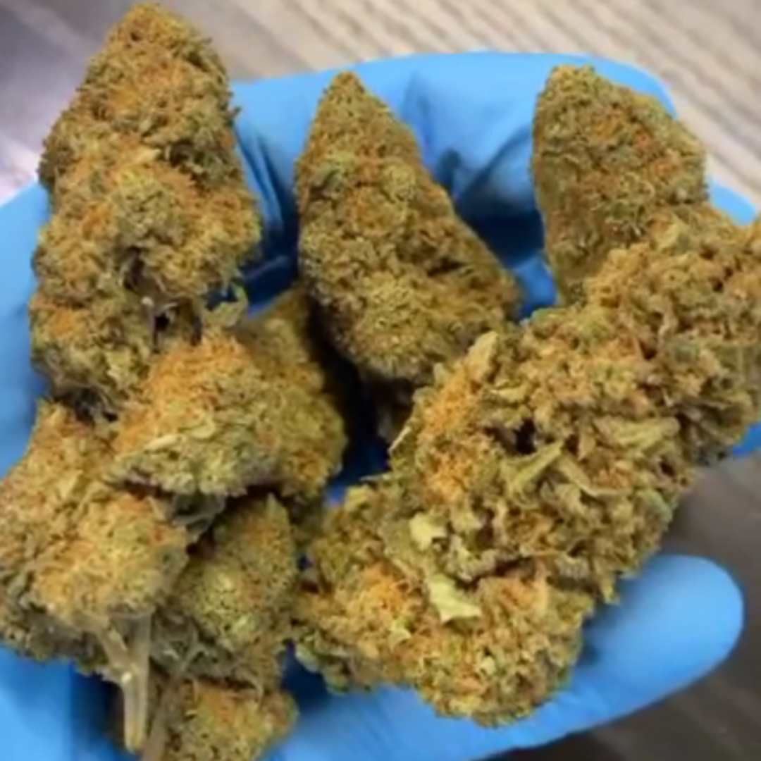 Mandarin Cookies Strain