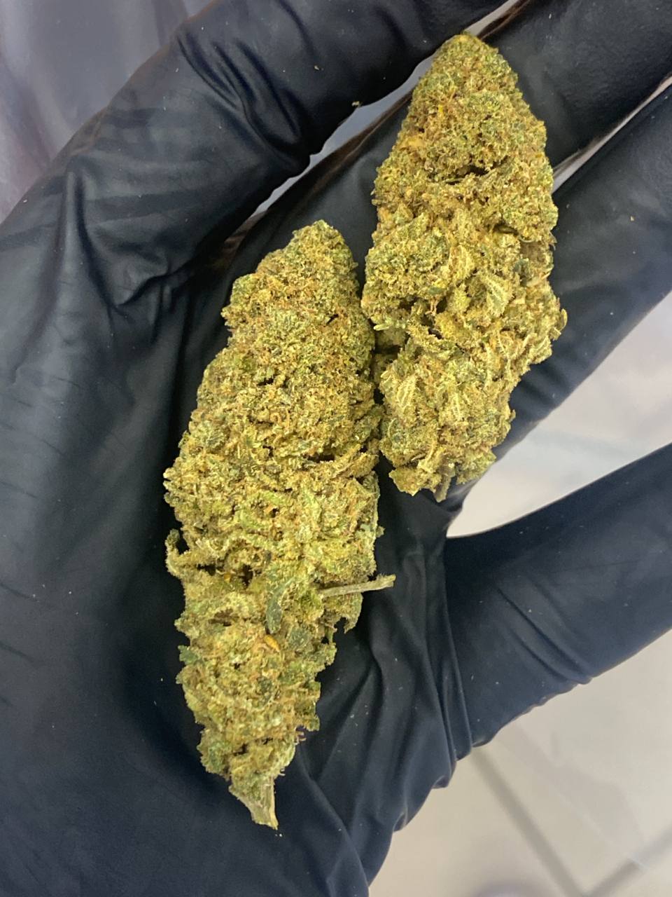 Lemon Cheese CBD Flower