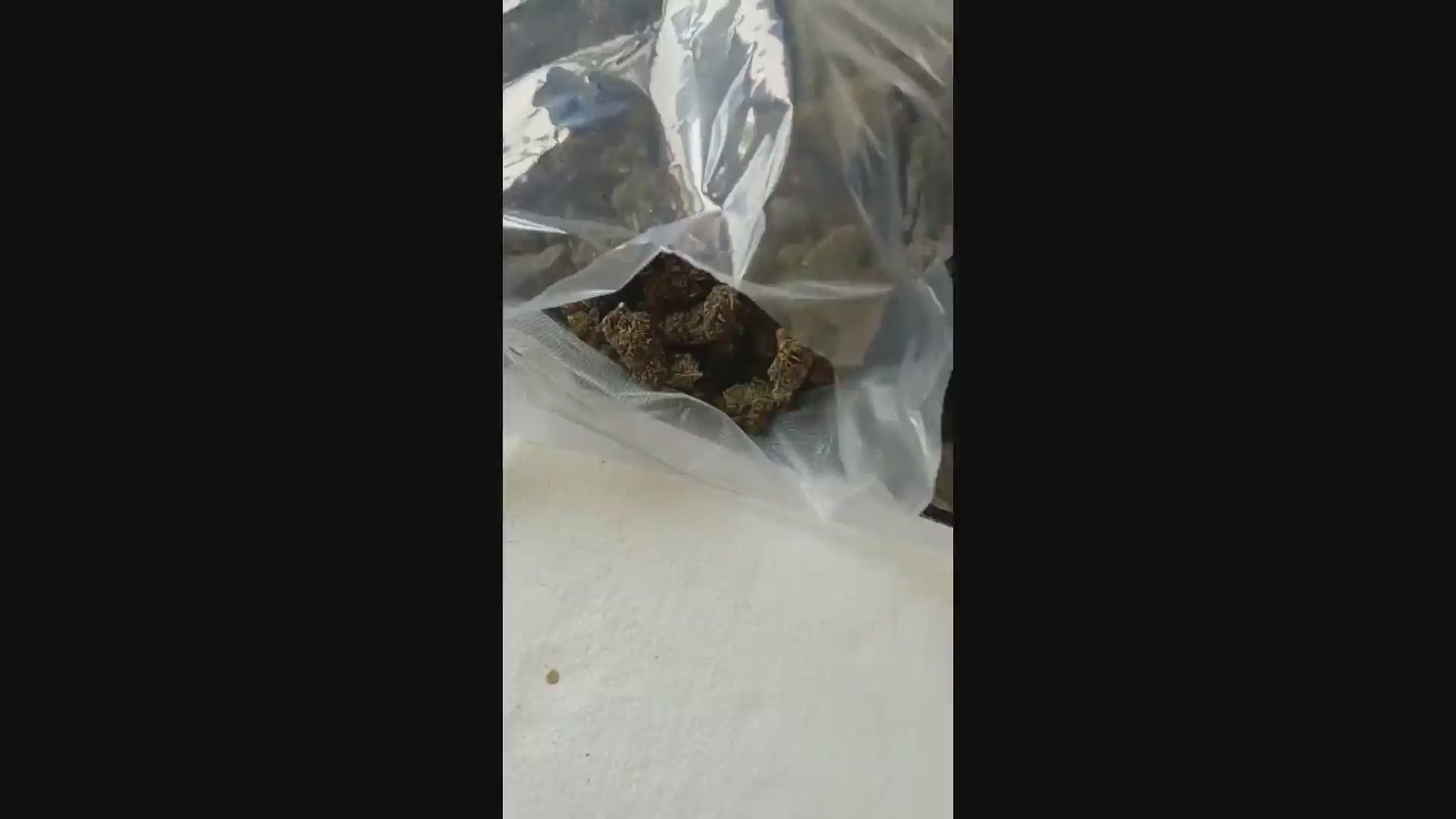 Cannatonic Strain Flowers