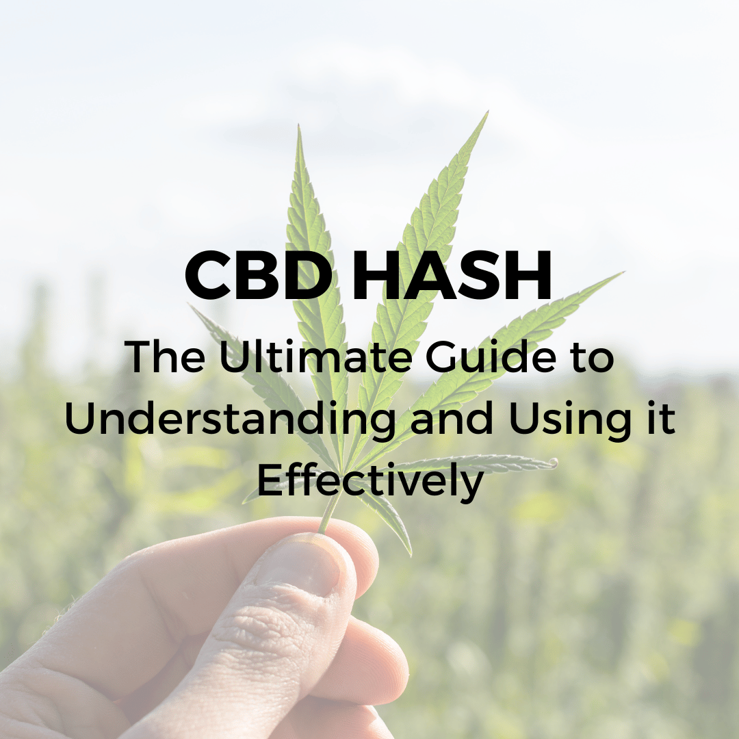 CBD Hash - The Ultimate Guide to Understanding and Using it Effectively