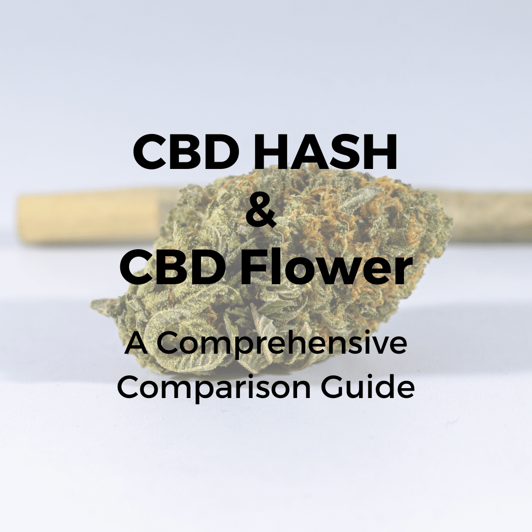 CBD Hash vs CBD Flower: A Comprehensive Comparison Guide